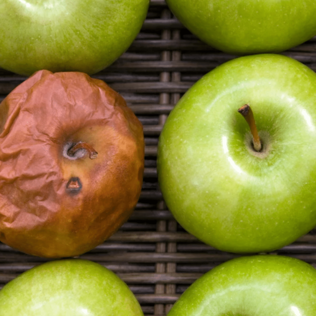 A healthy workplace takes more than good employees, strong business practices, and a mission everyone can get behind. It takes leaders who set the right example.